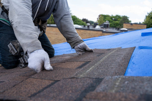 Best Roof Gutter Cleaning  in North Zanesville, OH